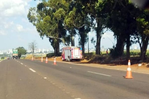 Árvore rachada obriga interdição parcial da BR-467 em Cascavel