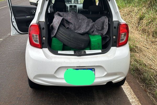 Denarc de Cascavel apreende mais de 150 kg de maconha na BR-467 e prende suspeito