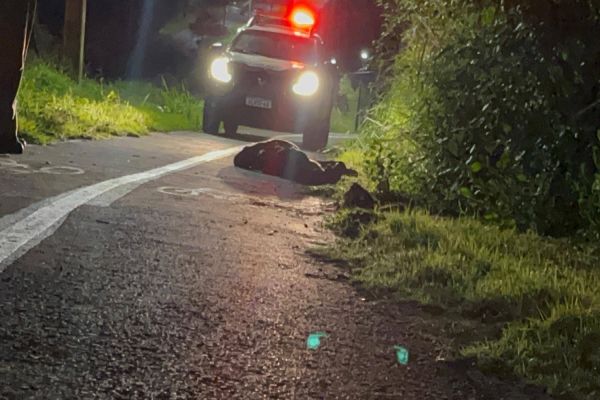 Homem morre eletrocutado após tentar furtar fiação em Foz do Iguaçu
