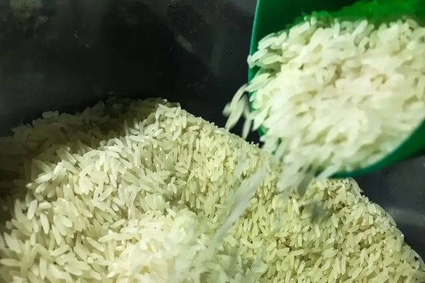 Governo Federal autoriza compra de 1 milhão de toneladas de arroz