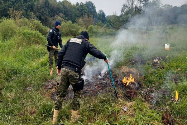 Queimada de fios na Rua Madrid: Patrulha ambiental da GM localiza 50 quilos de cobre