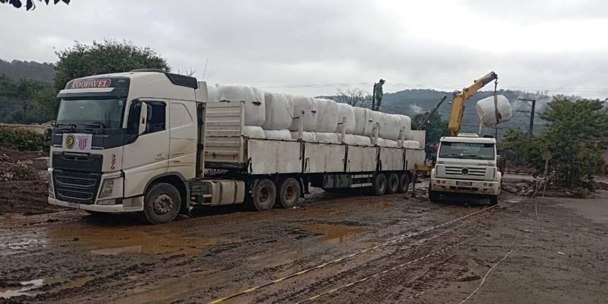 Coopavel se alia a ações solidárias e leva donativos a desabrigados do RS