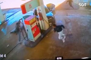 Imagem referente à notícia: Assaltantes de loja de celulares na argentina morrem após confronto com a polícia brasileira