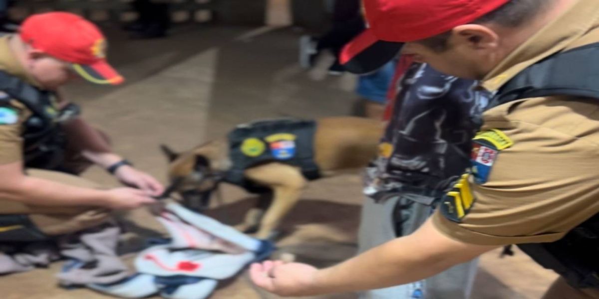 Cão farejador Ethan flagra maconha no Terminal Urbano Oeste de Cascavel, durante operação integrada