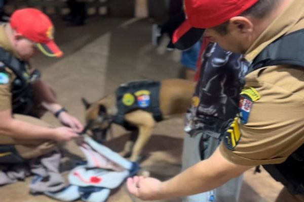 Cão farejador Ethan flagra maconha no Terminal Urbano Oeste de Cascavel, durante operação integrada