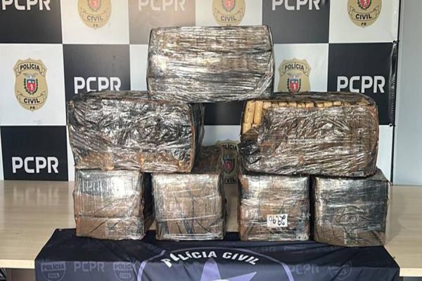 Denarc apreende cerca de 209 kg de maconha em Lindoeste