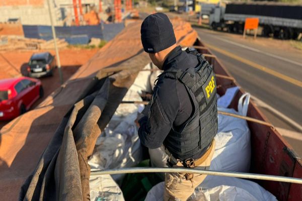 PRF apreende 1,5 tonelada de maconha em Alto Paraíso e supera 26 toneladas apreendidas em Guaíra