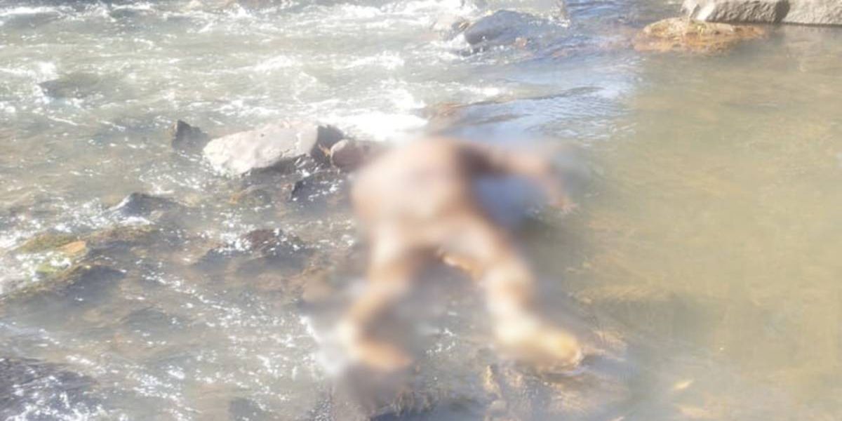 Corpo de um homem é encontrado no Rio Lontra, em Salto do Lontra