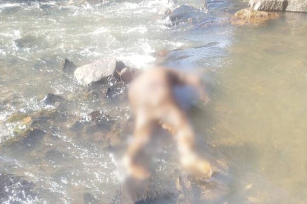 Corpo de um homem é encontrado no Rio Lontra, em Salto do Lontra