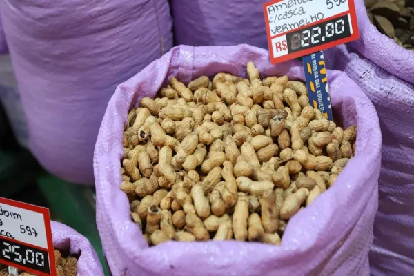 Foto relacionada a notícia: Típico das festas juninas, amendoim tem maior área plantada no Paraná em 12 anos