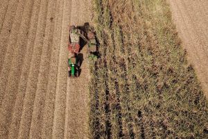 Imagem referente à notícia: VBP Agropecuário do Paraná cresce 13% e alcança R$ 212,6 bilhões em 2025