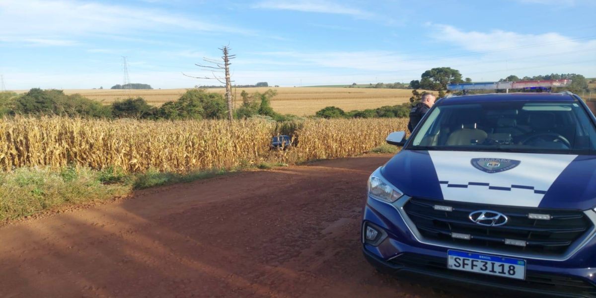 Mais de 450 kg de maconha são apreendidos pela GM na área rural de Cascavel, após denúncia anônima