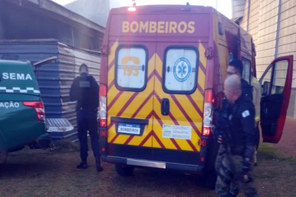 Suspeito de esfaquear morador de rua é detido pela Guarda Municipal em Cascavel