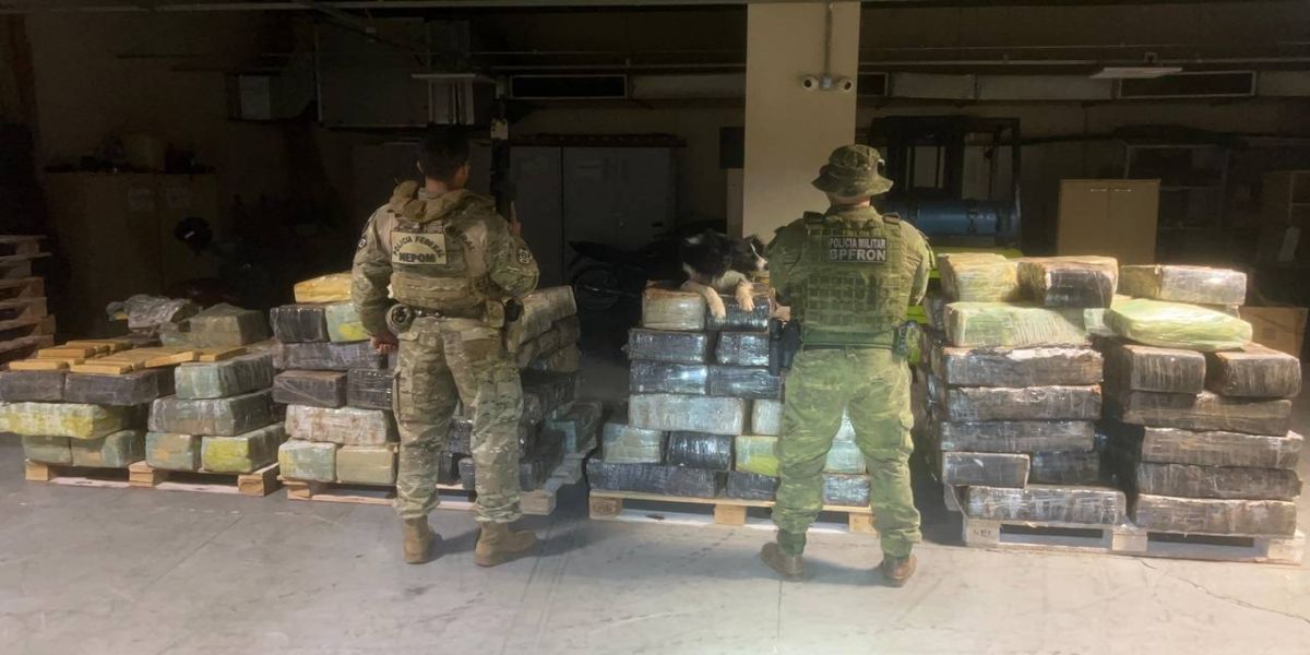 Mais de 2,7 toneladas de maconha são apreendidas em bunker escondido sob chiqueiro em Santa Helena