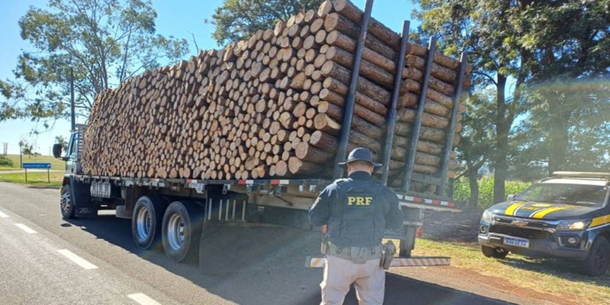 PRF flagra caminhão transportando carga de madeira sem amarração no Paraná