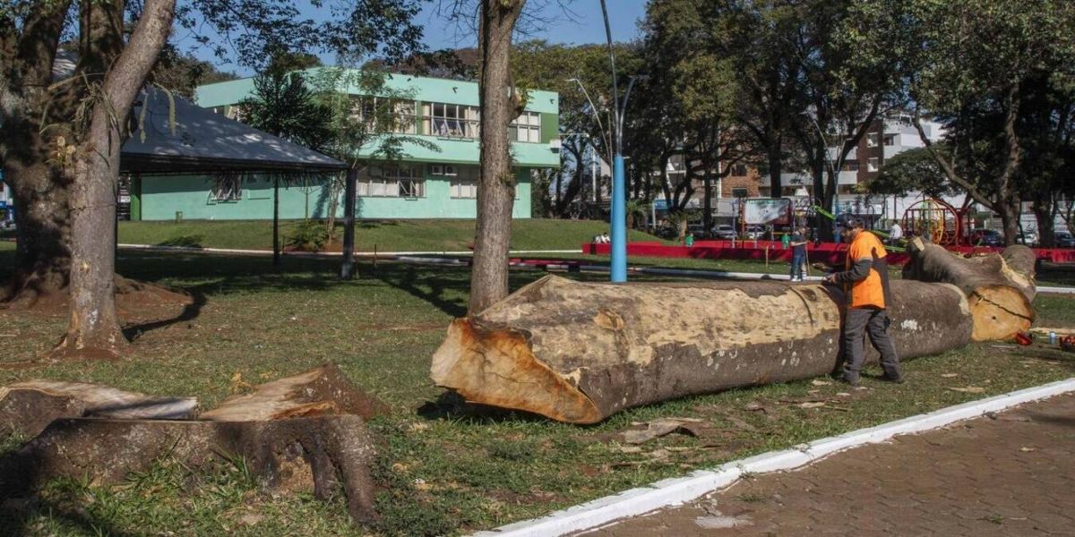 Projeto Escultura na Praça transforma a natureza morta em arte