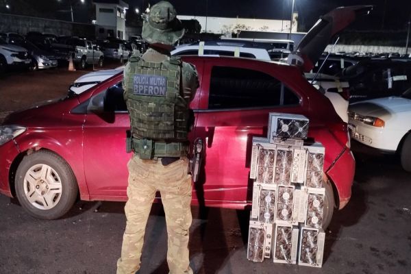 BPFRON apreende R$100 mil em mineradoras de criptomoedas em Ubiratã