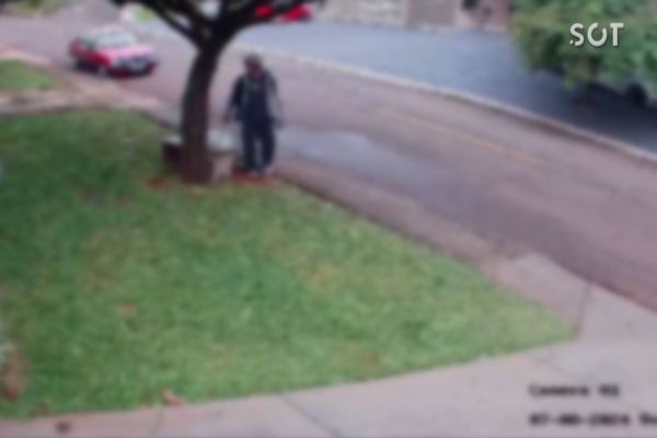 Ladrão escala árvore para furtar fios em Cascavel, mas é espantado por morador