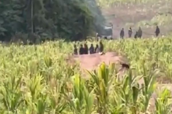 Itaipu se pronuncia sobre invasão de fazenda em Terra Roxa e afirma buscar solução pacífica
