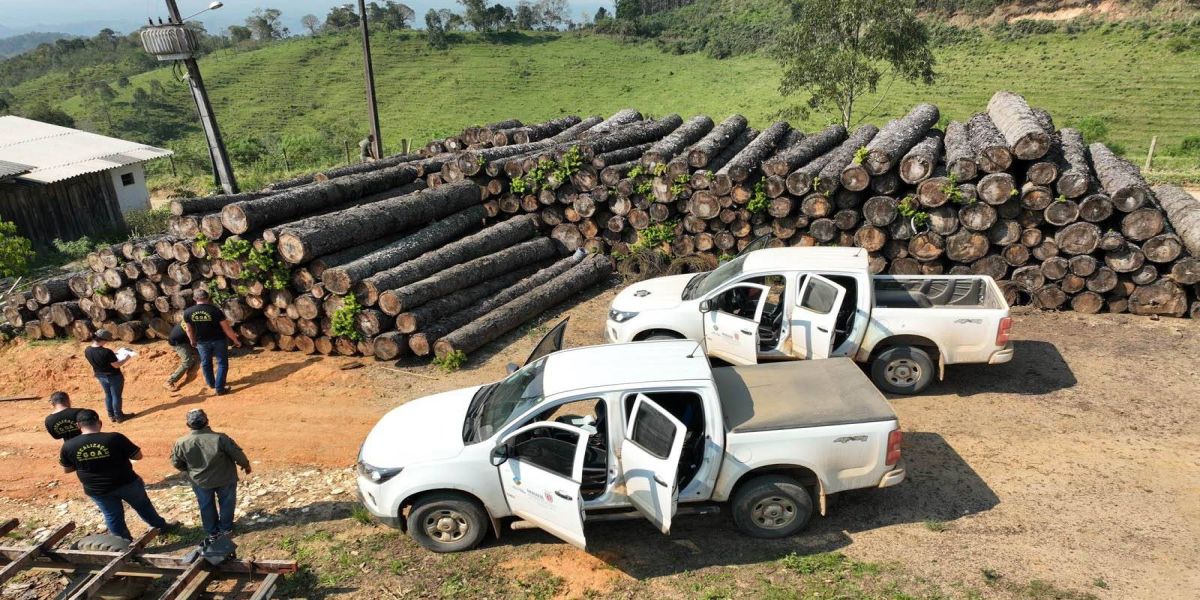 Com alta de 13%, 1º semestre encerra com R$ 63,7 milhões em multas por desmatamento