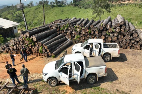 Com alta de 13%, 1º semestre encerra com R$ 63,7 milhões em multas por desmatamento