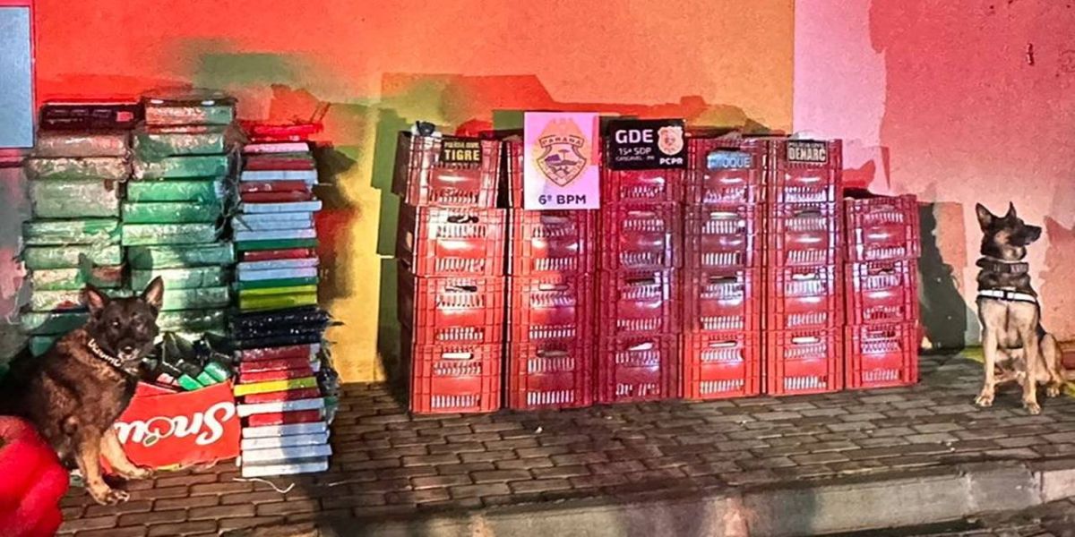 Em apenas três dias, Operação Cidade Segura apreende quase 3 toneladas de drogas em Cascavel