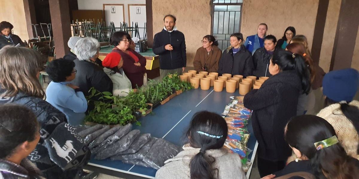 Sanepar oferta cursos sobre plantas alimentícias não convencionais e medicinais