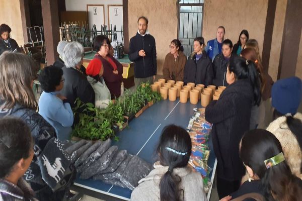 Sanepar oferta cursos sobre plantas alimentícias não convencionais e medicinais