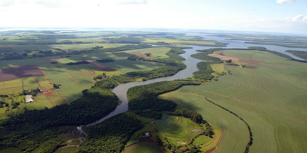 Com novo comitê, Paraná atinge 100% de cobertura das regiões hídricas do Estado
