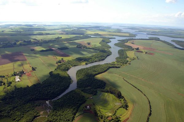 Com novo comitê, Paraná atinge 100% de cobertura das regiões hídricas do Estado