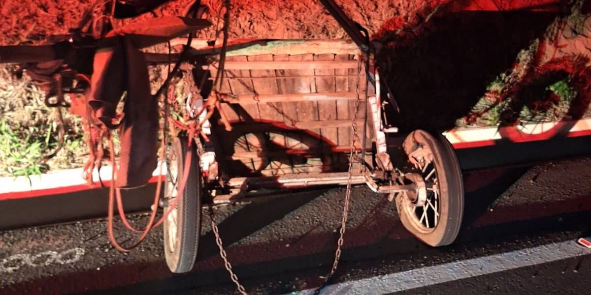 Idoso morre em colisão entre caminhão e charrete na BR-487 em Icaraíma