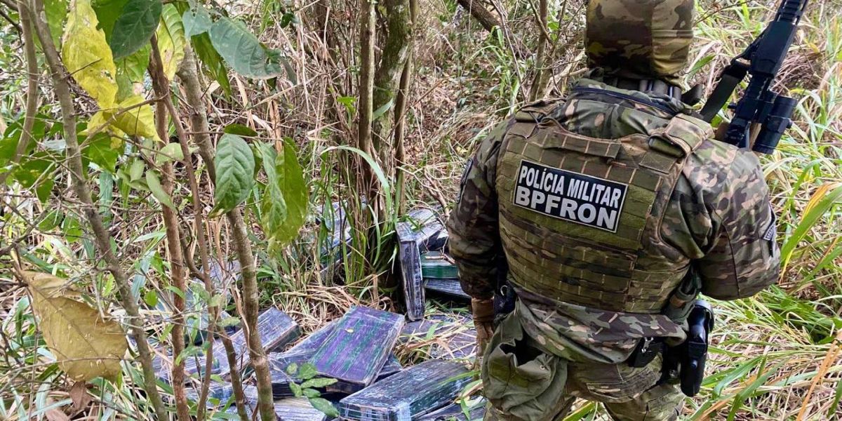 Combate ao tráfico: apreensões de maconha e cocaína crescem no Paraná no 1º semestre