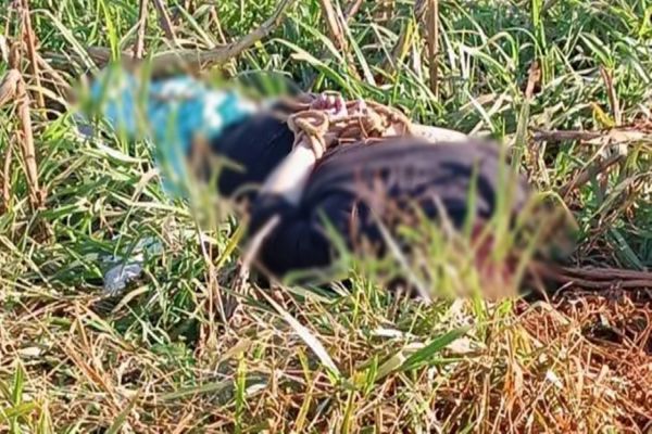 Mulher é encontrada morta em estrada rural de Marechal Cândido Rondon