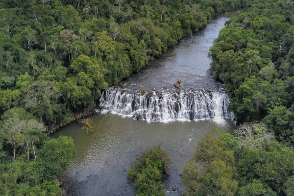 Mata ciliar aumenta 12% no Paraná com proteção de nascentes e plantio de mudas
