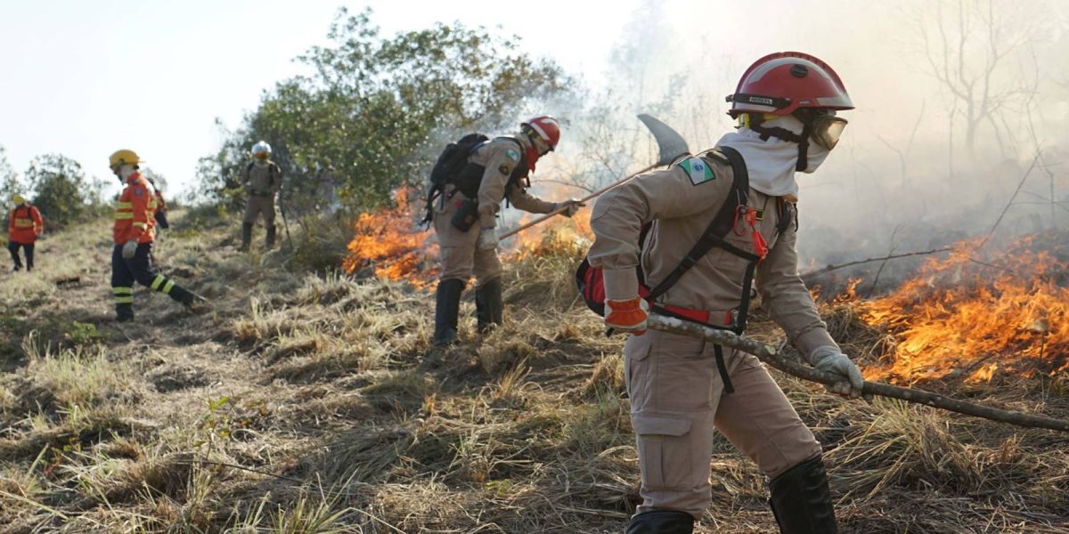 Bombeiros prestaram mais de 63 mil atendimentos no 1º semestre; incêndios cresceram