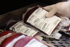 Hemepar reforça importância de doadores de sangue manterem a constância