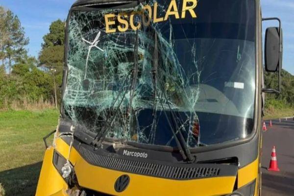 Imagem referente a notícia: Ônibus escolar colide com carreta e deixa feridos na BR-158 no sudoeste do Paraná