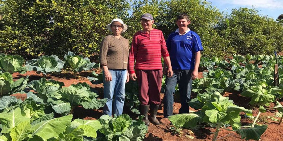 Agricultura Familiar: IDR-PR fez 155 mil atendimentos a produtores em sete meses