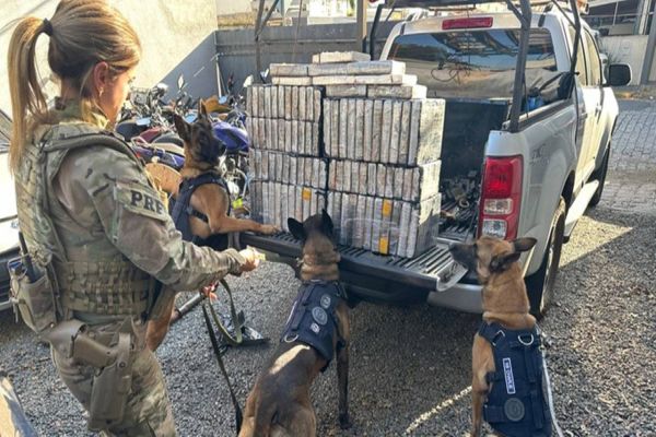 PRF apreende mais de 120 kg de cocaína em Campo Largo