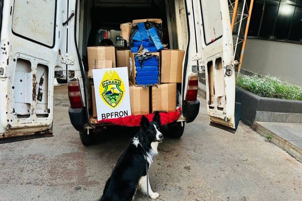 Quase meia tonelada de maconha é apreendida, mas traficante escapa pela mata em Ouro Verde do Oeste