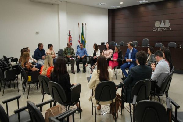 Advocacia e sociedade definem novas ações de combate à violência doméstica