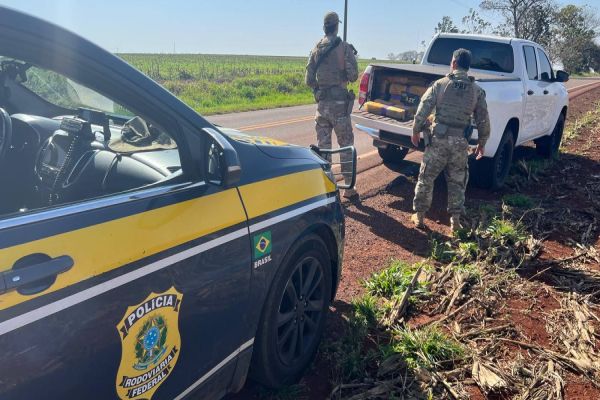 PRF e Denarc apreendem 744 kg de maconha em veículo clonado e prendem suspeito