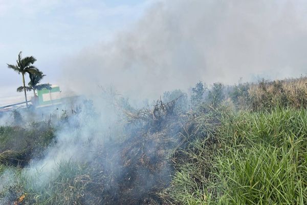 Bombeiros controlam incêndio em vegetação no Bairro Cascavel Velho
