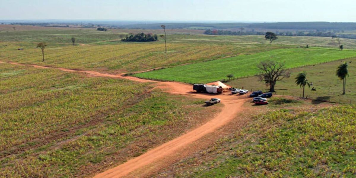 Invasões no campo levam insegurança e prejuízo generalizado ao Oeste do Paraná