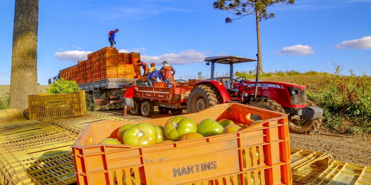 Preços de alimentos e bebidas tiveram queda de 1,29% em julho no Paraná