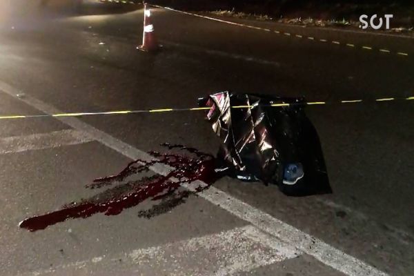 Coletor de recicláveis e seu cachorro morrem após serem atropelados na BR-467 em Cascavel