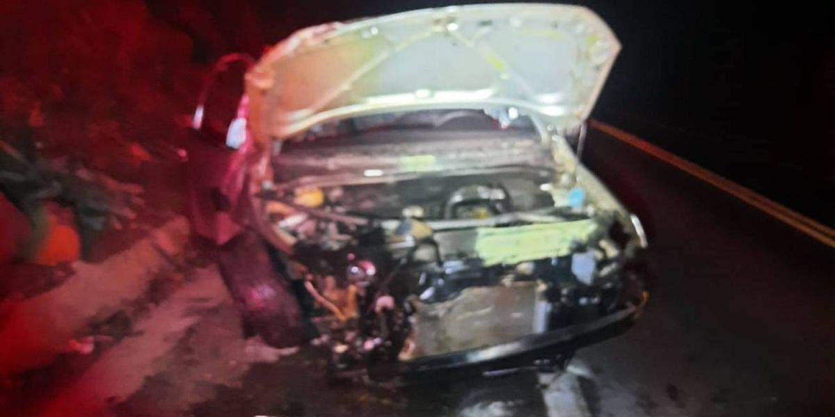 Passageiro de veículo morre após capotamento na PR-495, entre Medianeira e Missal