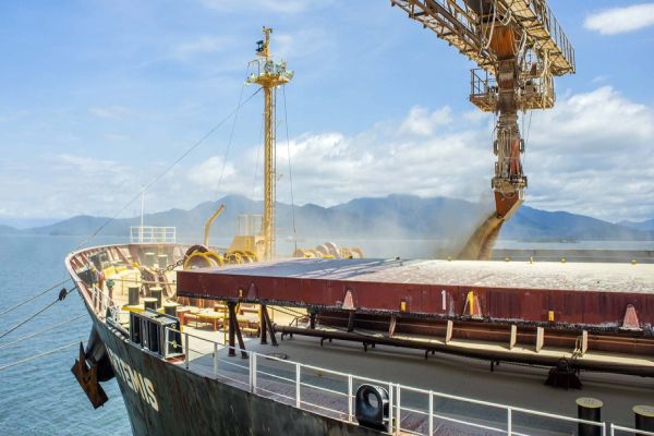 Exportações de soja, açúcar, combustíveis e frango batem recorde no Paraná em 2024