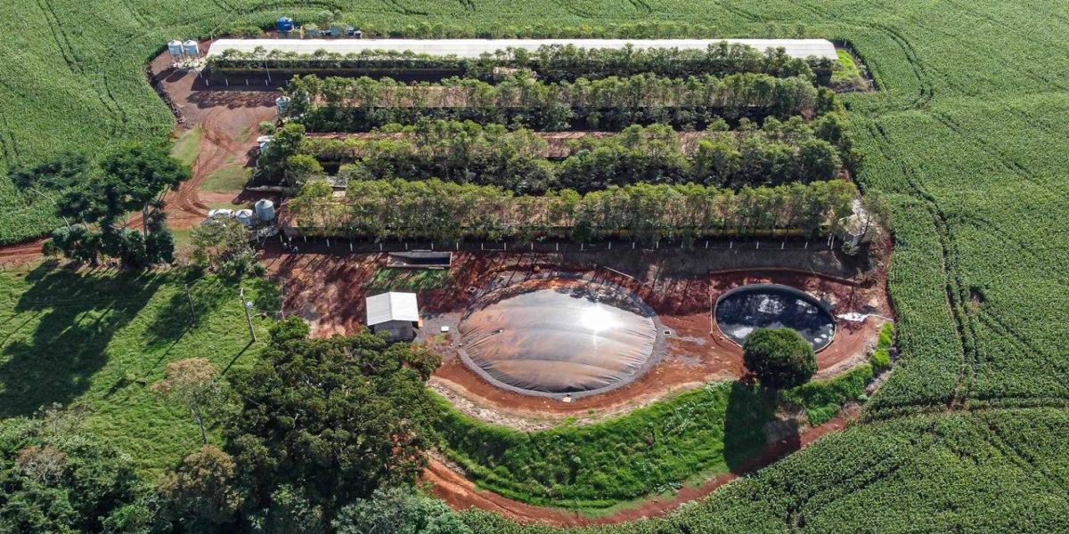 Produção de biogás a partir da suinocultura gera renda extra para produtores do Paraná