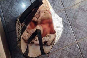 Imagem referente à notícia: Recém-nascido é encontrado abandonado dentro de uma sacola em obra no Paraná